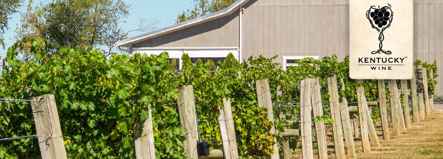 Kentucky Wine