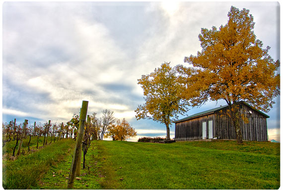 Fall festival season is underway at Kentucky's fun farm