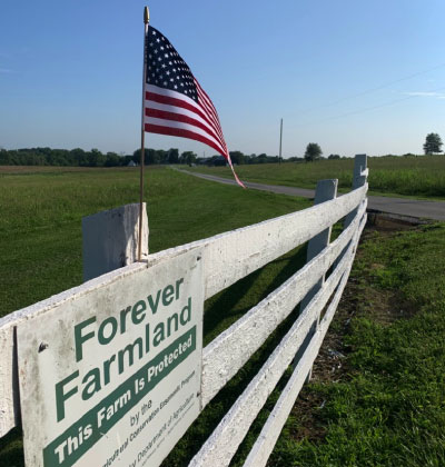 Pace Farm
