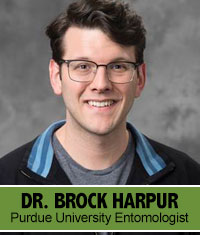 Dr Brock Harpur Purdue University Entomologist