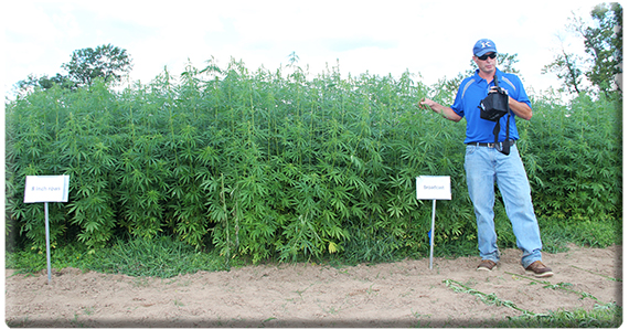 UK agronomist Rich Mundell