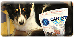 Zigler and Canine Correct