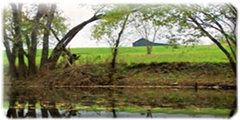 Farm conservation scene