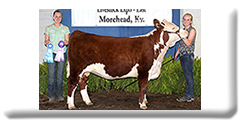 Kentucky Junior Livestock Expo
