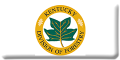 Kentucky Division of Forestry