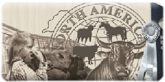 North American website banner