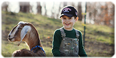 Boy and goat