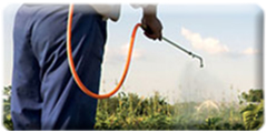 Pesticide application