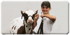 Dairy show