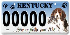 Spay/neuter plate