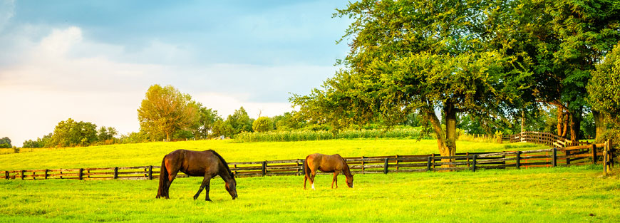 Kentucky Agricultural Development Fund Administrators