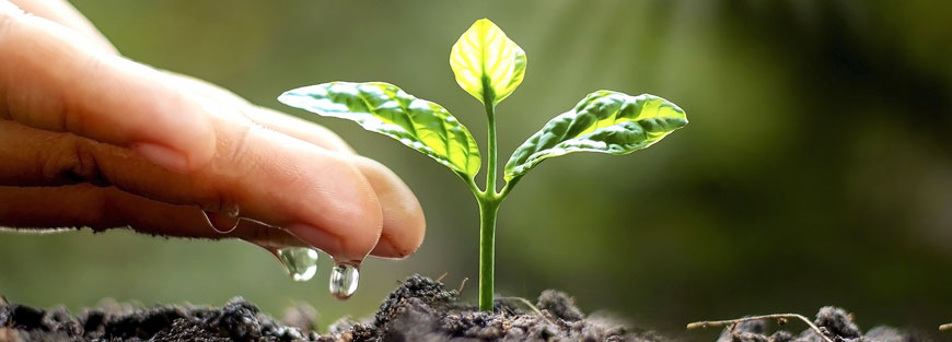 Kentucky Agricultural Development Fund KADF