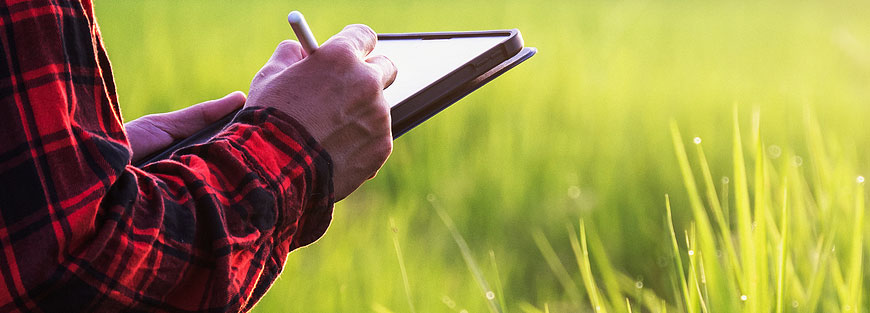 Agricultural Policy Publications