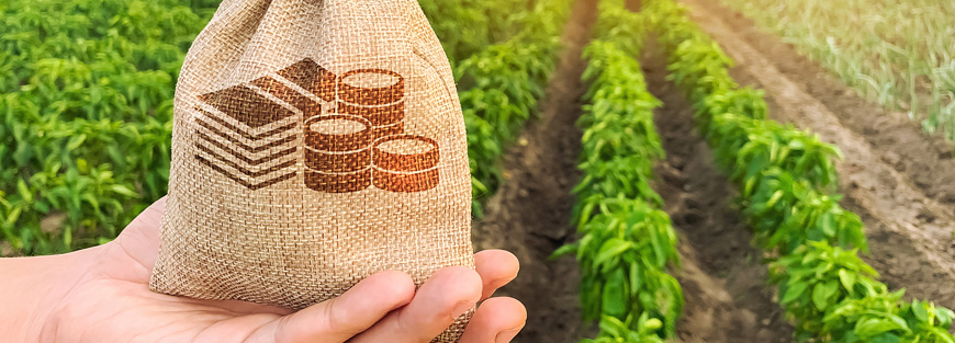 Kentucky Department of Agriculture Grants and Funding Opportunities
