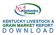 Download the report