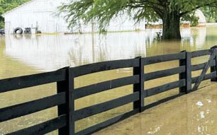 Kentucky Disaster Relief