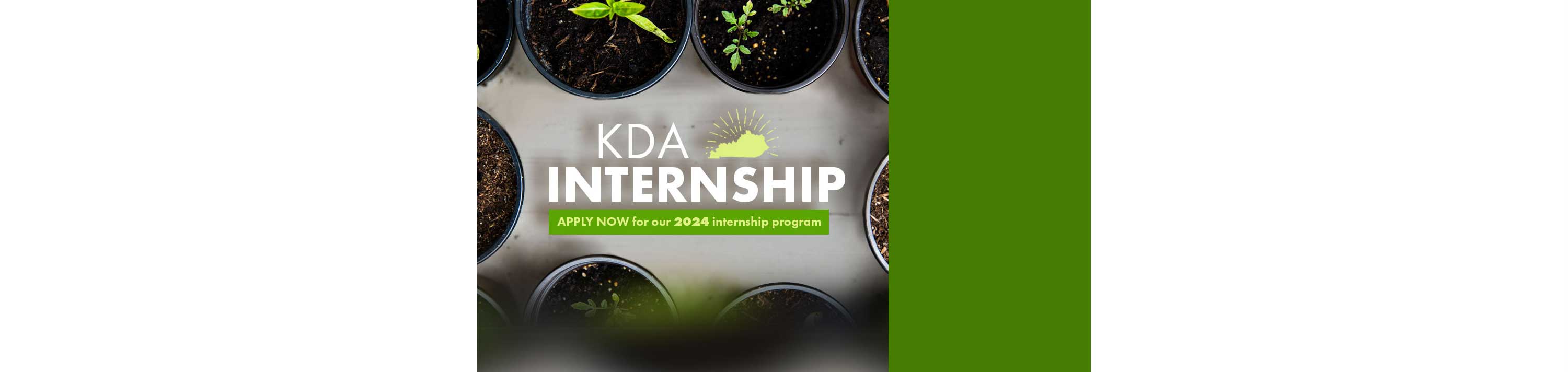 2024 KDA interns