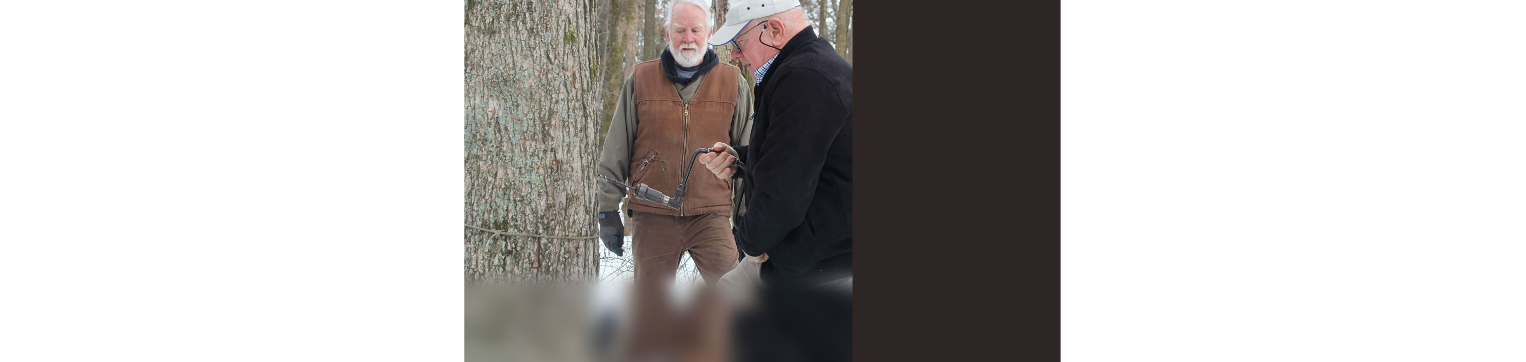 Sweet stamp on Februar