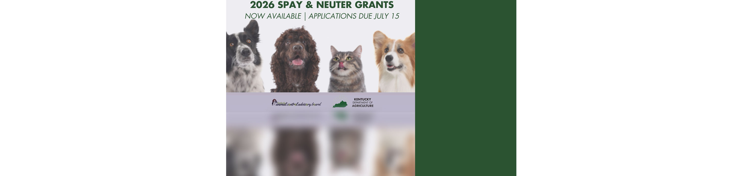 Spay/Neuter grants