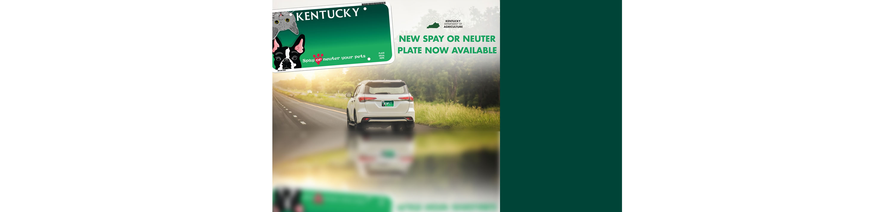 Spay or neuter license plate