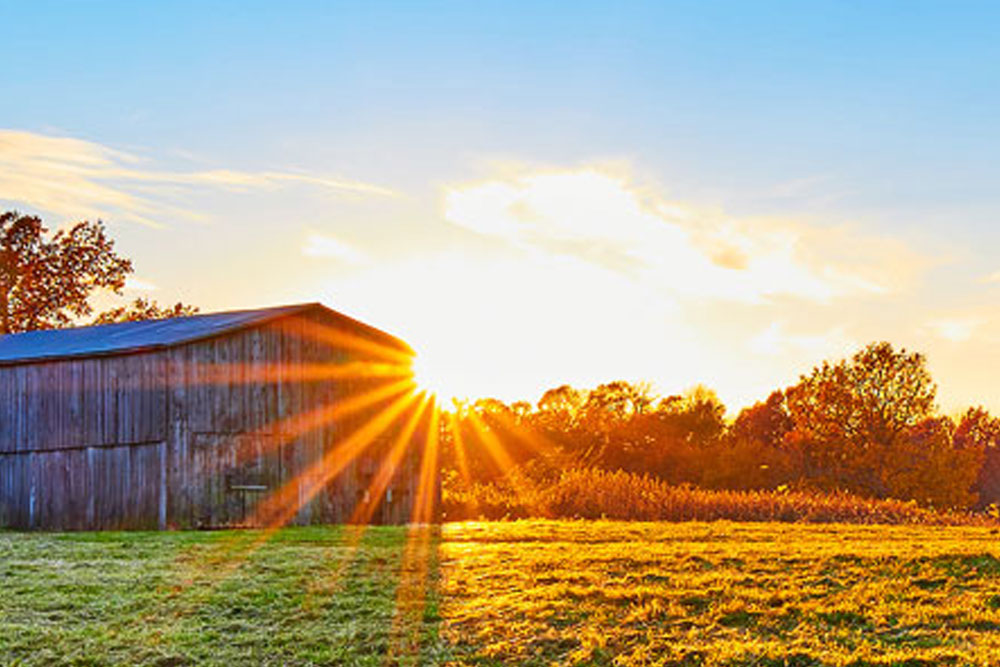 Kentucky Office of Agricultural Policy