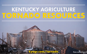 Kentucky Disaster Relief