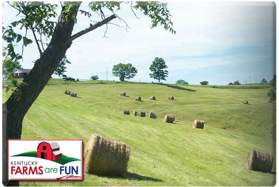 Enjoy Agritourism