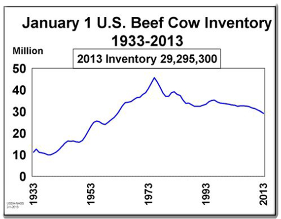 Beef cow inventory 1933-2013