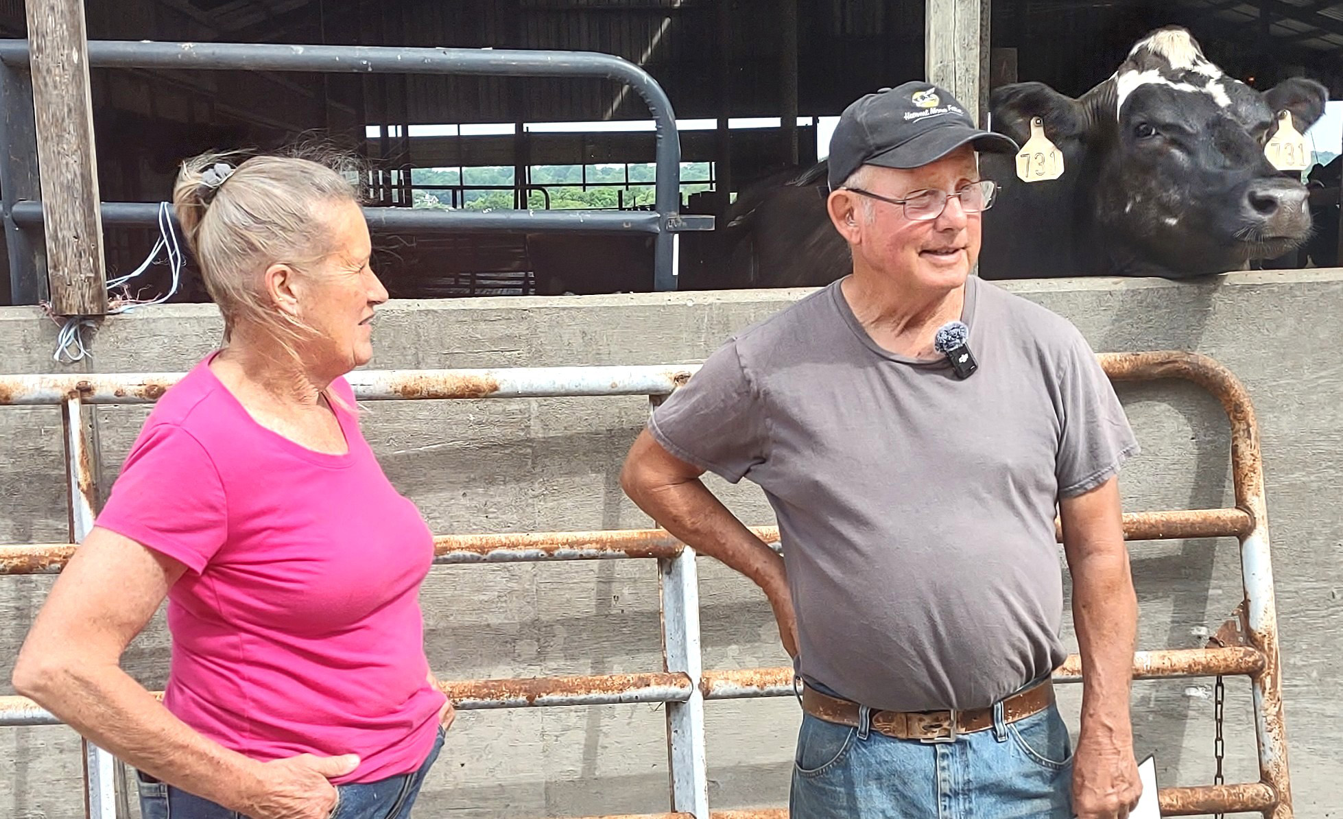 Oldham County's only surviving dairy farm