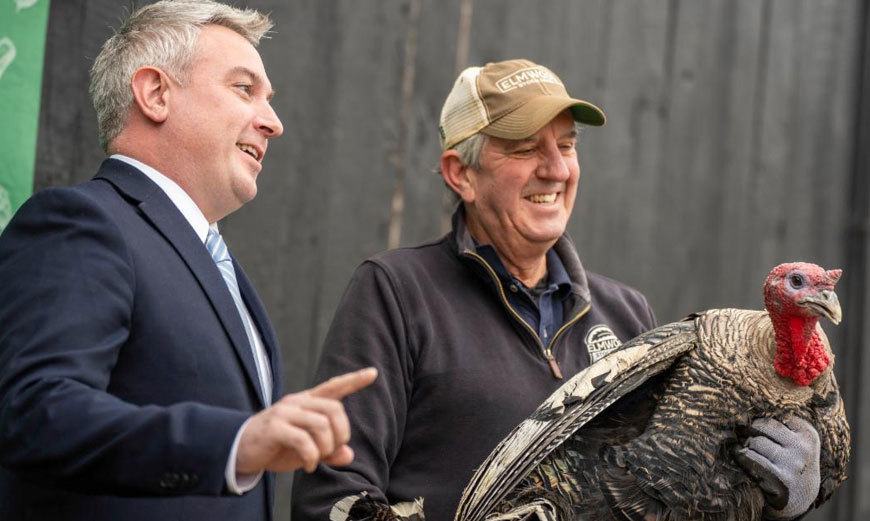 Commissioner pardons turkey