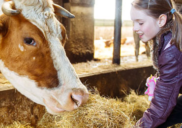 KY Junior Livestock Expo